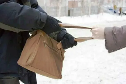 В Удмуртии задержан мужчина, пытавшийся похитить у почтальона сумку с пенсией